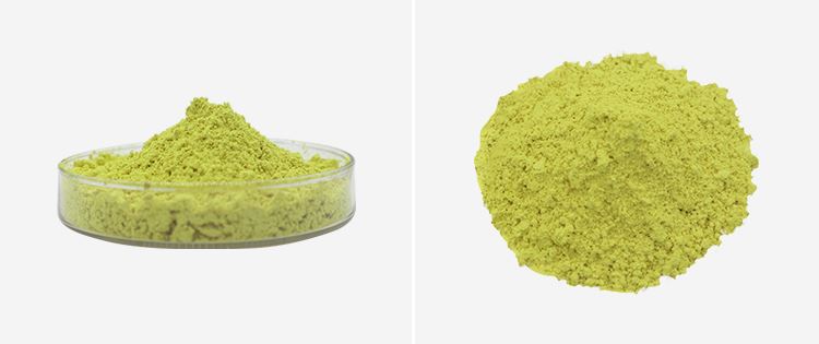 Quercetin Dihydrate Powder 2 Quercetin Dihydrate Powder 2