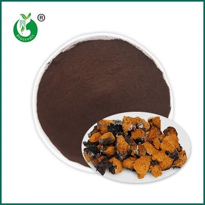Pulbere de extract de Chaga