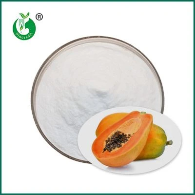 pulbere organică de papaină