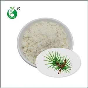 Saw Palmetto Extract Pulbere