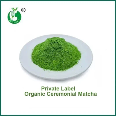 Care este diferența dintre pudra de matcha și pudra de ceai verde?