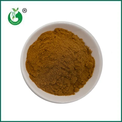 Pudră de extract de ciuperci organice de vânzare la cald Pincredit