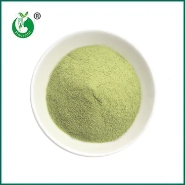 NOU SOSIRE: Matcha Latte Powder