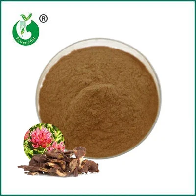 Pentru ce este folosit extractul de Rhodiola Rosea?