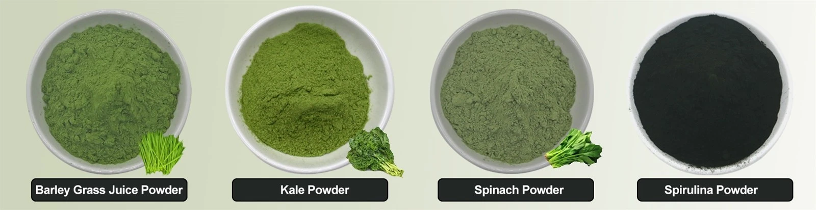 Organic Green Superfood Powder Organic Green Superfood Powder