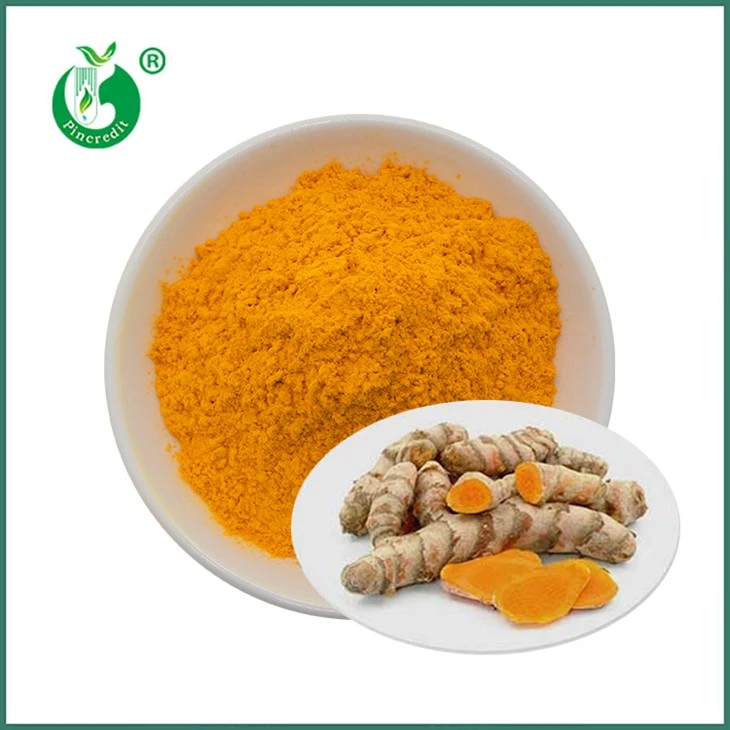 Pulbere de extract de curcumină