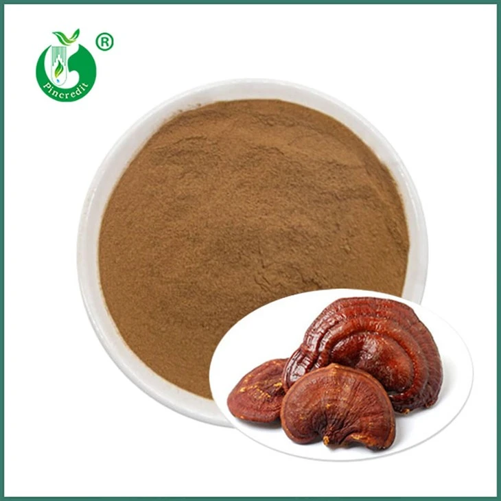 Pulbere de extract Reishi