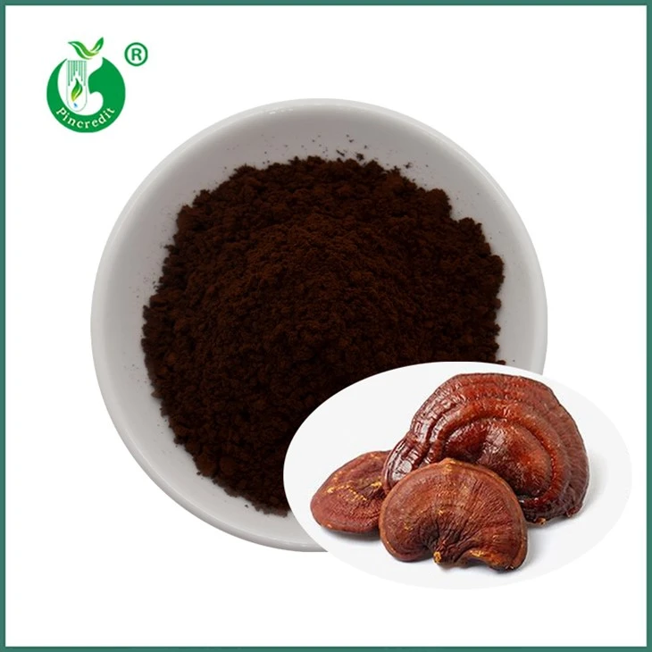 Pulbere Reishi Spore