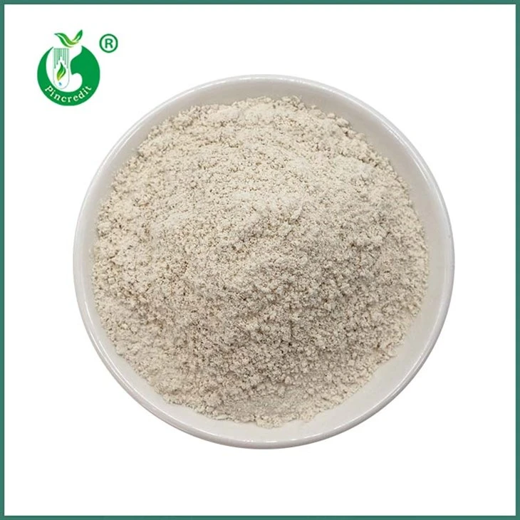 Trans Resveratrol Pulbere